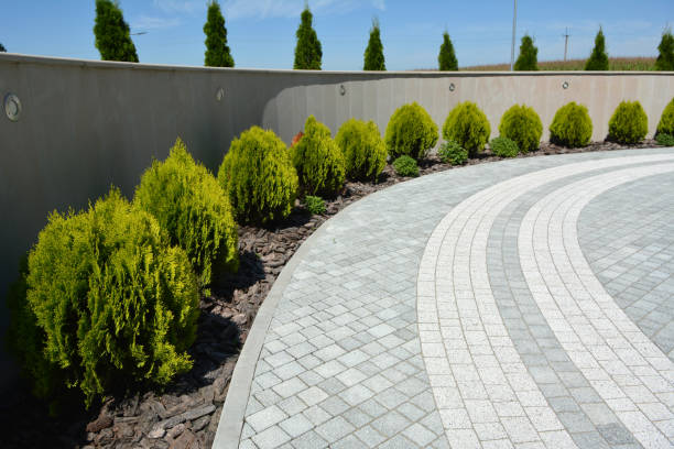 Reasons to Select Us for Your Driveway Paving Requirements in Brewerton, NY